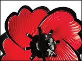 Homepage-PoppyRemembrance