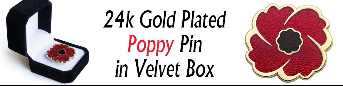 Slider_GoldPlatedPoppyPin_e